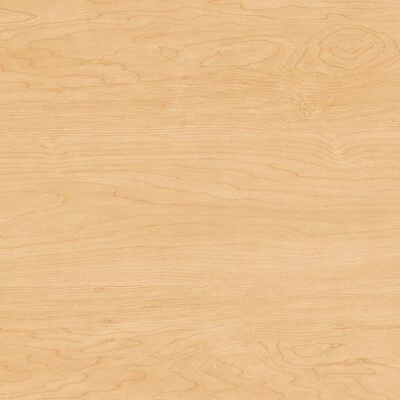 Cheap ๐ Sit & Stand Desks Bush Business Furniture Move 60 Series 27''-47'' Adjustable Standing Desk, Natural Maple (M6S6030ACSK) โจ 8 Cheap ๐ Sit & Stand Desks Bush Business Furniture Move 60 Series 27''-47'' Adjustable Standing Desk, Natural Maple (M6S6030ACSK) โจ - Image 6